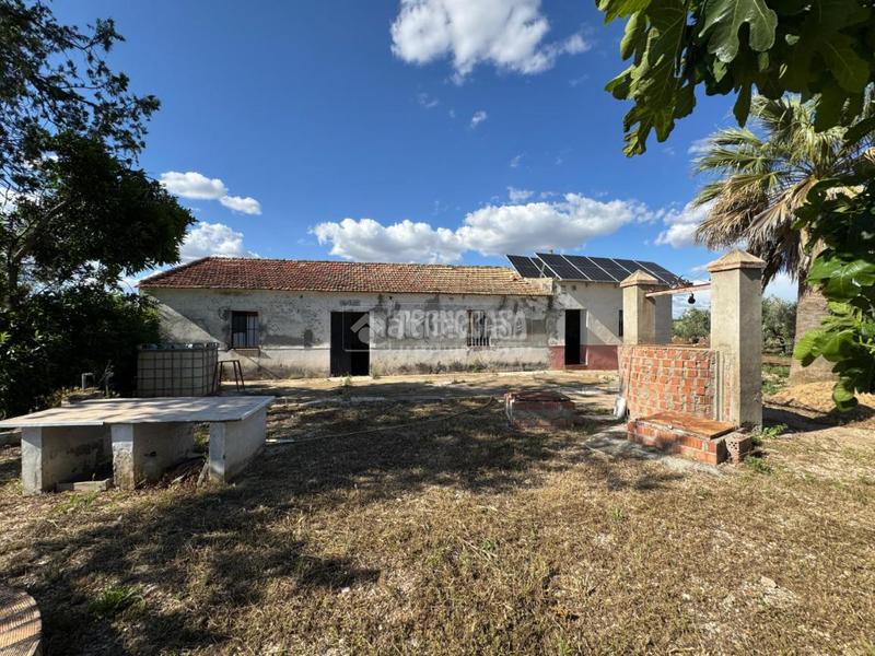 Foto ac0bbf27-d3d8-479d-8085-f61263dc9ed3. Finca rústica terrenos en venta en Écija