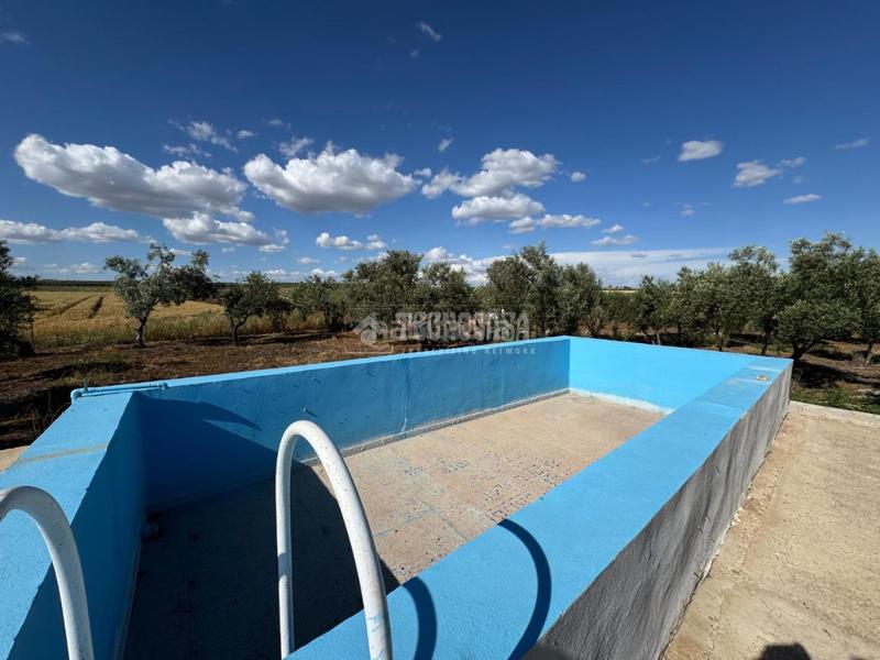 Foto bcbd0a85-5722-40e4-ae4a-19bc8a8e7f5d. Finca rústica terrenos en venta en Écija