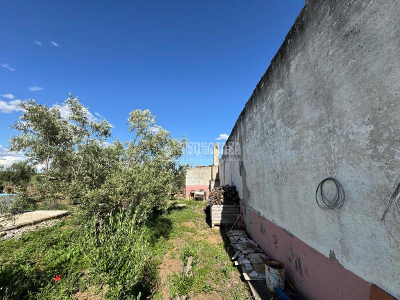 Foto c35e38a0-7cc9-4324-8dab-f134bbc104c7. Finca rústica terrenos en venta en Écija