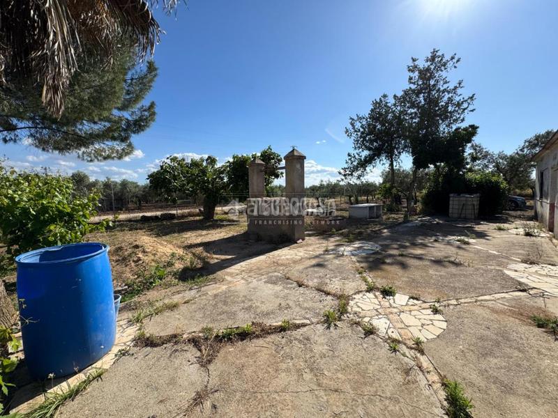 Foto f49a8315-d6fa-4292-acf5-500d46798070. Finca rústica terrenos en venta en Écija