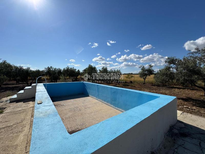 Foto fea14699-0147-4817-9ae9-d06e6d90361a. Finca rústica terrenos en venta en Écija