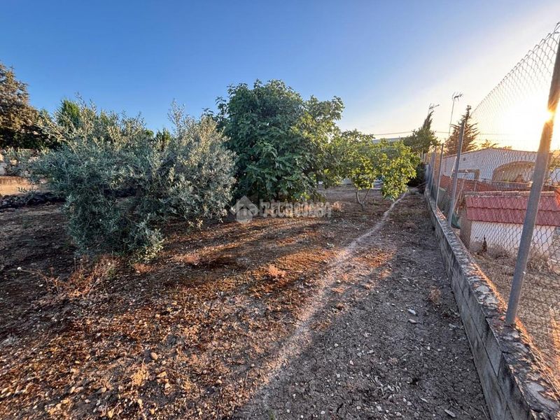 Foto a8f8d06a-d847-4358-91d9-47b965d1413e. Masia a Luisiana (La)