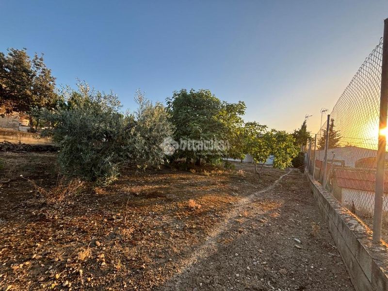Foto ae49525d-09cf-4fbc-a5a7-fb843a99d26d. Masia a Luisiana (La)