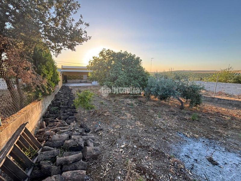 Foto bc926219-d591-4140-b836-3e044d61e8e2. Masia a Luisiana (La)