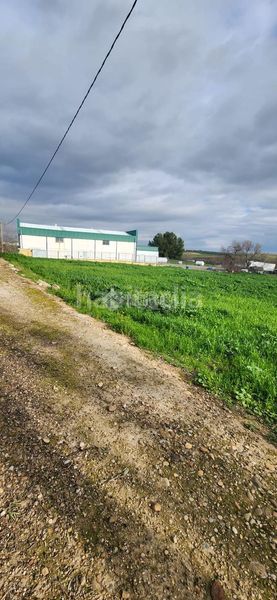 Foto f9adfd9b-7c01-4d6d-94e3-4d22caa02943. Solar industrial a Écija