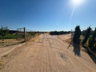 Finca rústica a Écija