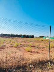 Finca rústica a Écija. Exclusividad...!!!
1133- se vende parcela rustica en cañada del