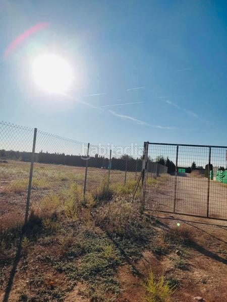 Foto d33396b1-b83f-4b11-9bd2-2c7b41c165f0. Finca rústica exclusividad...!!!
1133- se vende parcela rustica en cañada del rosal.!!! en Écija