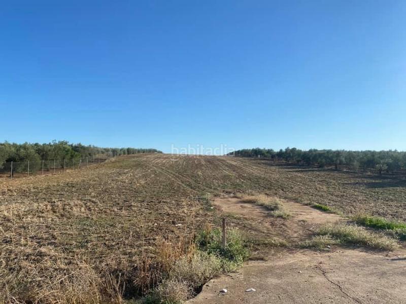 Foto d537262a-9786-4a94-afbb-73553f4bf378. Terreno residencial en Écija
