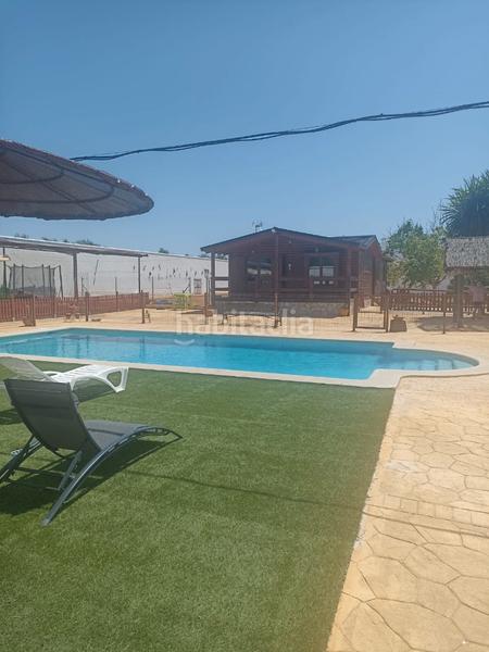 Foto 41bc2731-e8a2-4c8b-96df-3325210ef85f. Fondo rustico in Marchena