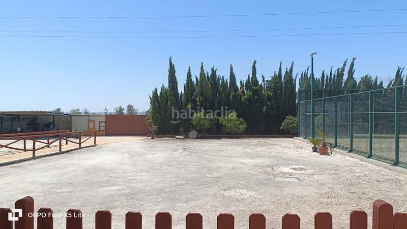 Foto a5c485fb-44ac-4e59-876c-a0f447fa3de5. Fondo rustico in Marchena