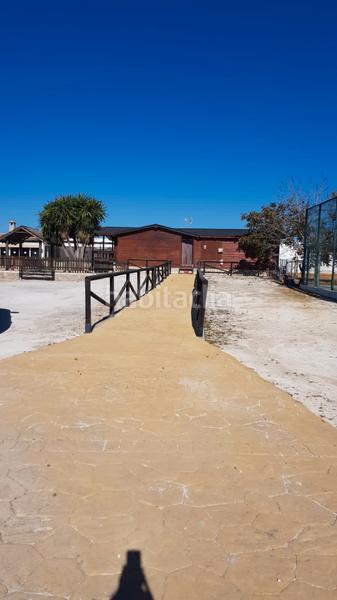 Foto ee76cc1f-dd73-41a8-b62c-57223e08aa0a. Fondo rustico in Marchena