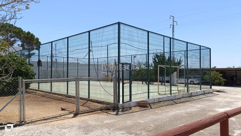 Foto fb656fa9-0793-4928-a255-65b72010e6ba. Fondo rustico in Marchena