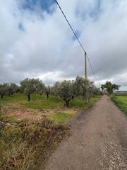 Finca rústica a Écija. Exclusividad...!!! 1446- se vende parcela rustica zona cerro per