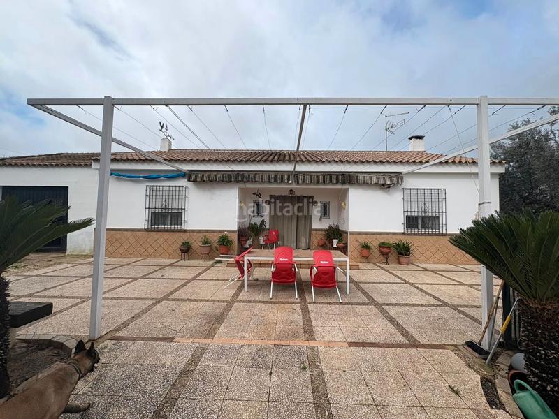 Foto 9731e675-5414-4307-9b1f-bae3c6a7b365. Fondo rustico in Écija