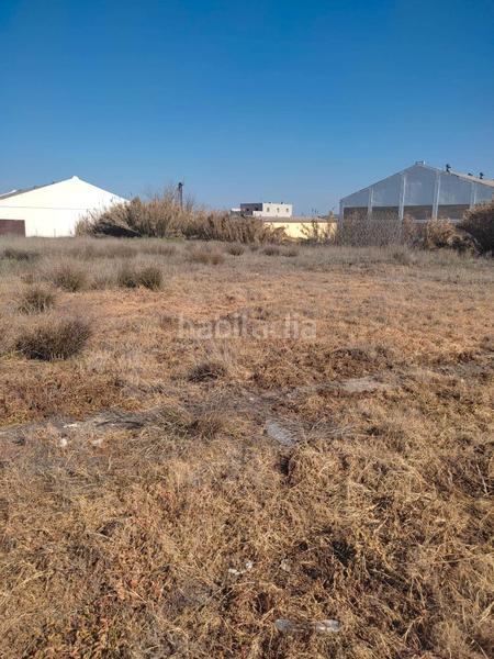 Foto b0cf6ac3-d3f2-4d30-b93d-3df3dbdfff12. Area edificabile industriale in Écija