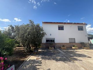 Finca rústica en Écija. Exclusividad...!!! 1591- se vende parcela rustica frente a villa