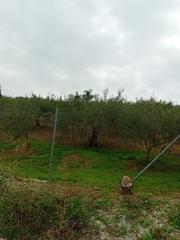 Finca rústica a Coín. Oportunidad