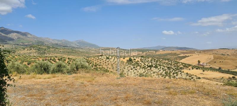 Foto 146d211e-e999-45da-96b8-32bda0161943. Masia amb calefacció aparcament piscina a Alozaina