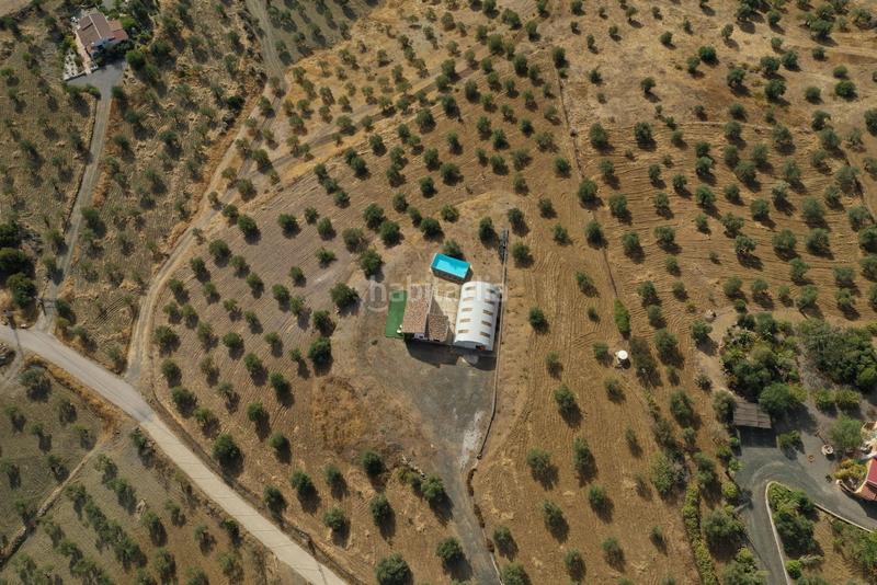 Foto 99ce193b-69d2-41df-aeb7-ad10e5f39d82. Masia amb calefacció aparcament piscina a Alozaina