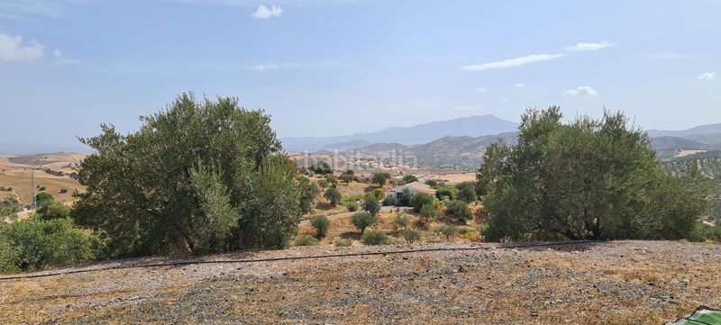 Foto ab19bb25-a2f7-4d5c-8e86-ad559b639dbb. Masia amb calefacció aparcament piscina a Alozaina