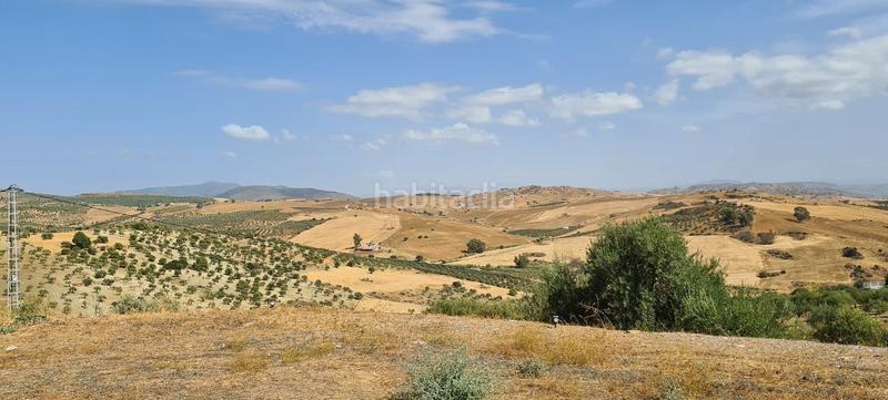 Foto c41d4ecf-5f20-41da-9762-26f1e8daaae4. Masia amb calefacció aparcament piscina a Alozaina