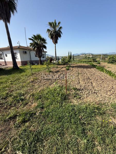 Foto c72ec676-34b0-4453-b9a3-8c0d8d897de3. Masía oportunidad en Cártama