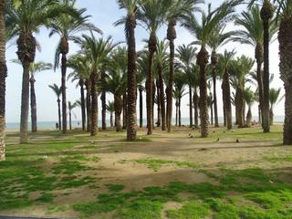Monolocale  Los nidos