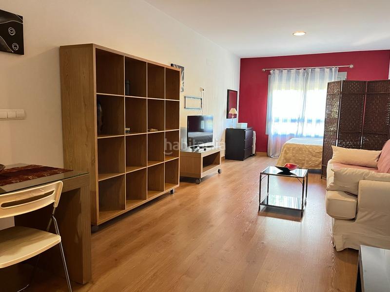 Foto 0bd9a0e3-6de3-460f-942a-fdf4a2cf965e. Estudio en Arroyo de la Miel Benalmádena