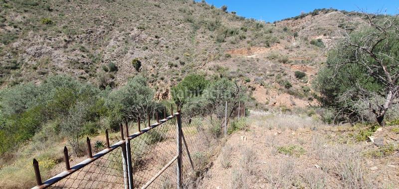 Foto 2292ff10-9e51-494e-b858-c72aba06c273. Fondo rustico in Olías Málaga