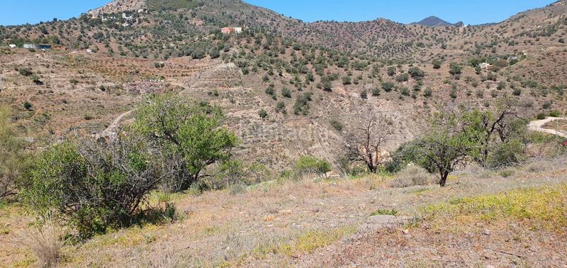 Foto 2445829c-3289-4c17-93c1-5993467c3c6c. Fondo rustico in Olías Málaga