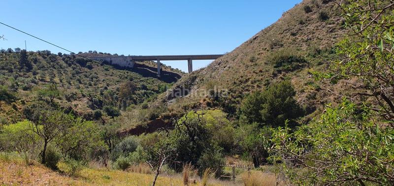 Foto 292dc42c-ed6a-4b5a-8b96-5e932c678884. Fondo rustico in Olías Málaga