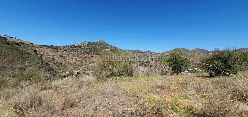 Foto 338961a1-f184-4e56-8f20-93fa825fa06e. Fondo rustico in Olías Málaga