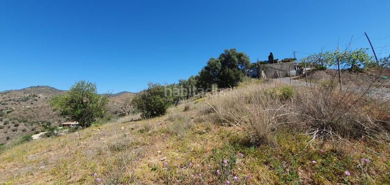 Foto 3cee32a5-ab42-4e63-81b1-8e622073752a. Fondo rustico in Olías Málaga