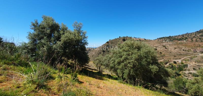 Foto 9dc93014-f06d-4404-a800-3052785e94df. Fondo rustico in Olías Málaga