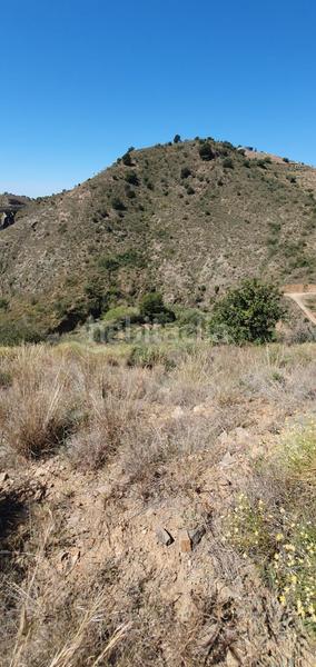 Foto ecbbbcc6-a44b-4390-a4a9-b59a5f915150. Fondo rustico in Olías Málaga