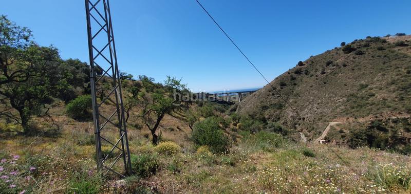 Foto 8afef828-695c-4129-941f-891585c13b87. Rural plot in Olías Málaga