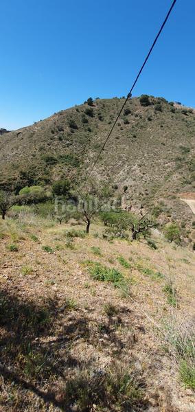 Foto ba48c09b-436a-41e3-9a6e-830d4abe7335. Rural plot in Olías Málaga