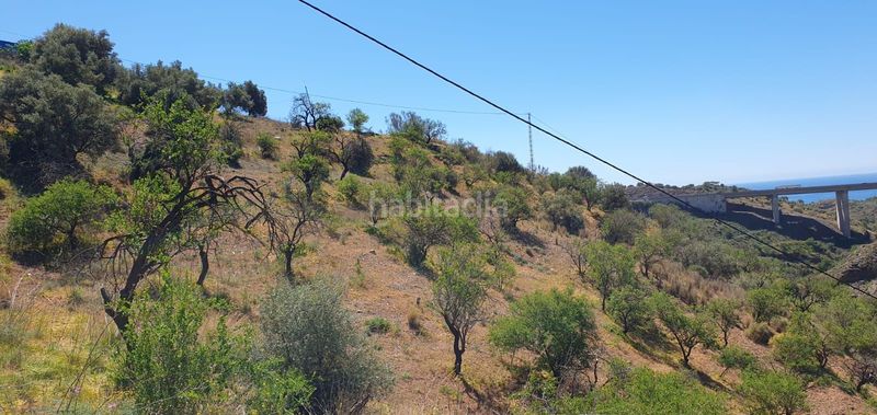 Foto aad2132e-59cb-464a-9358-b1fdcbf33ea3. Finca rústica a Olías Málaga