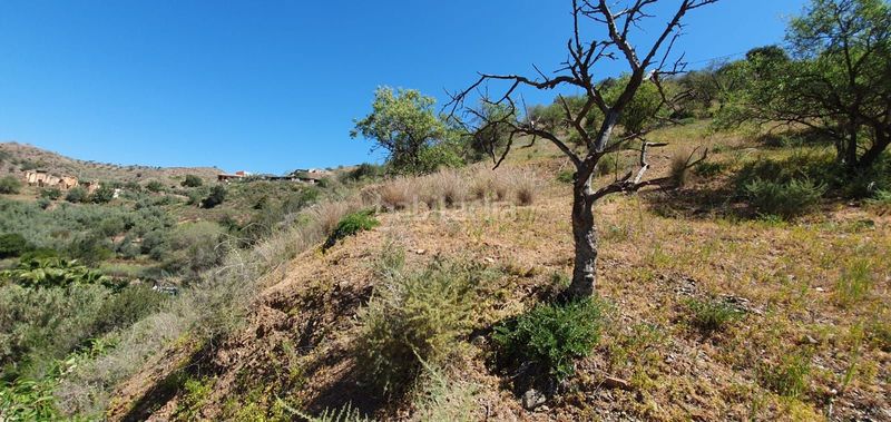 Foto d5d5e9a5-58b7-42b7-9d55-e3a956e86d4a. Finca rústica a Olías Málaga