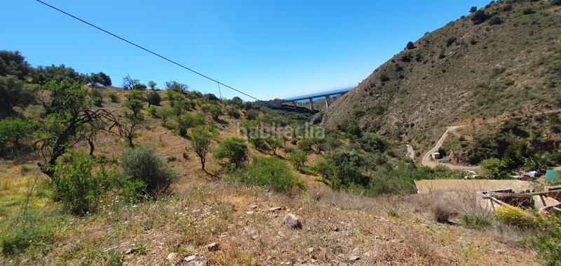 Foto 95fb4539-5bb0-4e76-94fa-93318a3c0d72. Finca rústica en Olías Málaga