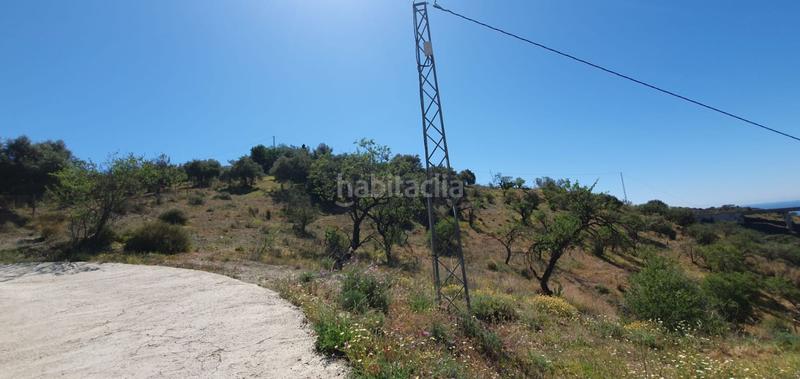 Foto ac05b2ab-7c0c-4d32-a213-342a8d79c5a2. Finca rústica en Olías Málaga