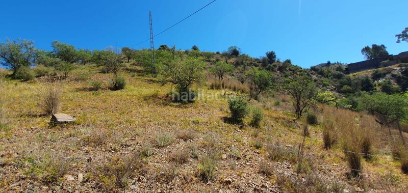 Foto cd2cf8ec-a7fa-47da-a1d1-7adedfff20e5. Finca rústica en Olías Málaga