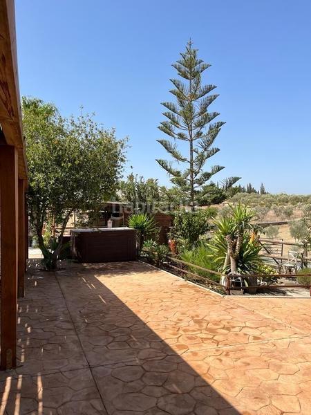 Foto ef0d4381-e0cb-4913-aefa-1af152edaca6. Finca rústica en Centro Alhaurín el Grande