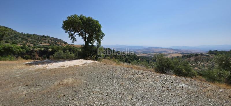 Foto fbb4128e-2561-4488-bf8e-ea320ef534e6. Masía casa rural en venta , málaga en Alozaina