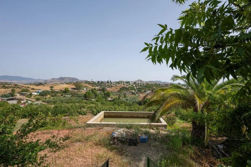 Foto 7a75cc1d-a37a-47e1-bb67-bf95e514c8f6. Rural plot in Cártama