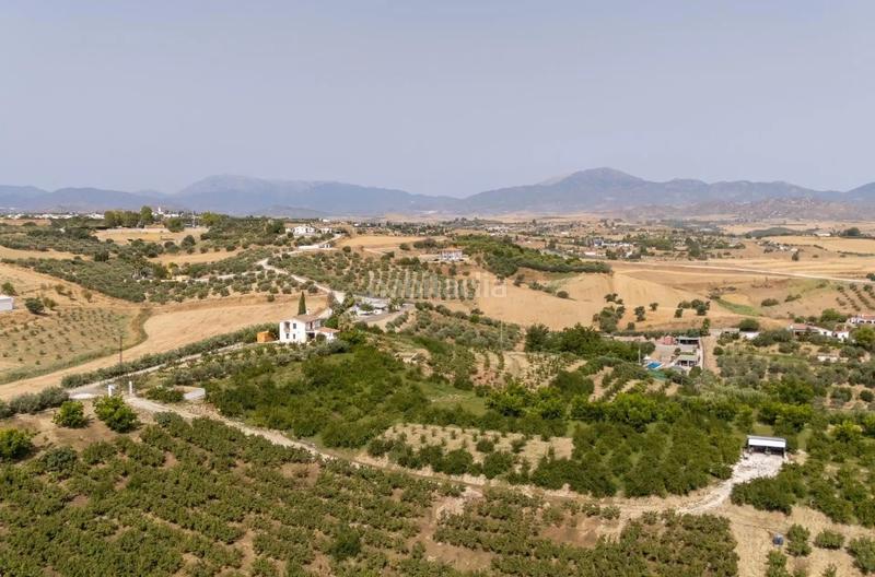 Foto cefb1f82-abf6-4d4c-a527-fb8ef62e3cc8. Rural plot in Cártama