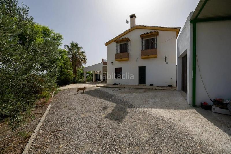 Foto e8cf1216-fe63-4c64-96a0-e5033c4bad5b. Rural plot in Cártama