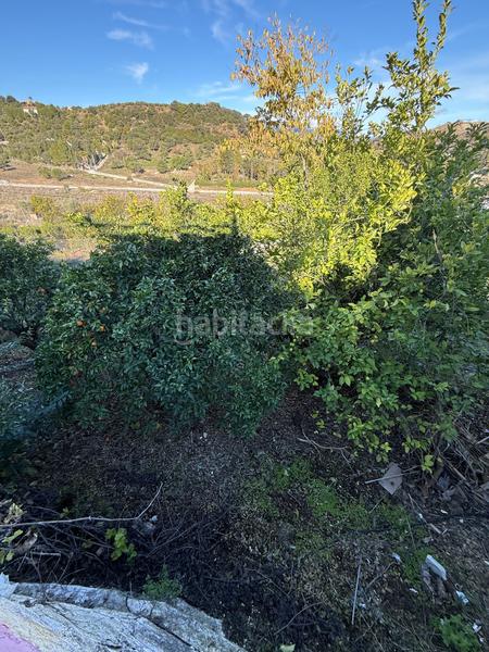 Foto 09842d48-ec5c-4dce-8669-a5234ea91799. Finca rústica a Coín