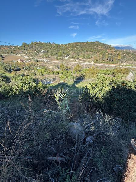 Foto 09aad27e-b94f-4a7c-b12f-975752e062d6. Finca rústica a Coín